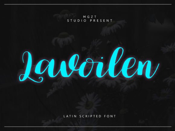 Lavoilen: A Typeface That Balances Charm with Professionalism