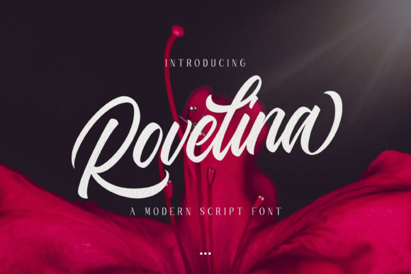 Rovelina: The Modern Script for Authentic Branding